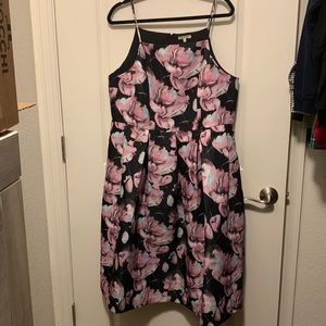 Lace & Mesh — 1X — Midi